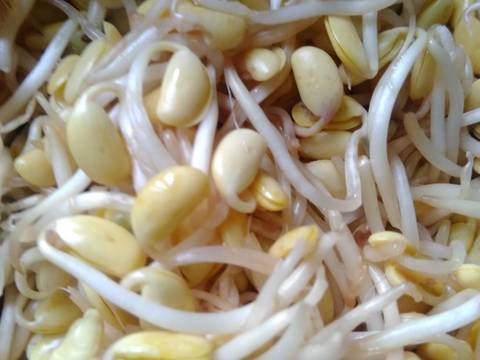 Tumis kulit melinjo campur taoge recipe step 2 photo