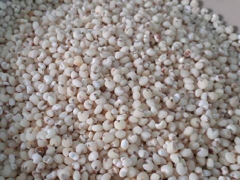 Nasi goreng sorgum recipe step 5 photo
