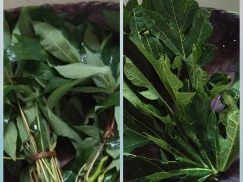 Plecing Daun Singkong- Pepaya recipe step 1 photo