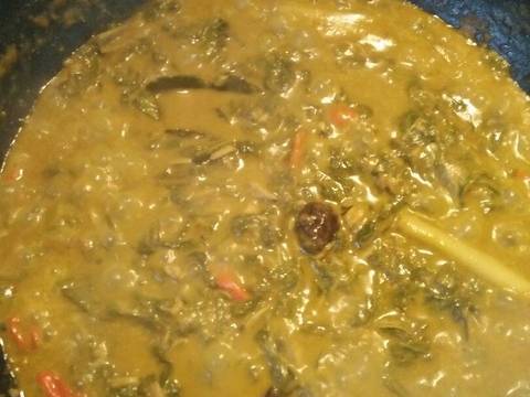 Rendang pakis ikan tongkol recipe step 7 photo