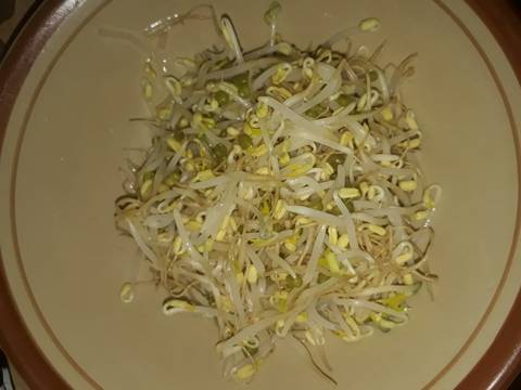 Kecambah urab santan #StepByStep #RabuBaru recipe step 1 photo