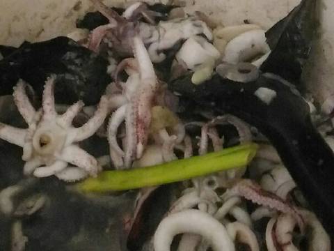10. 🌠Tumis Cumi Hitam🐾🐳 #RabuBaru #BikinRamadanBerkesan