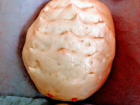 Pao Coklat dan Abon recipe step 5 photo