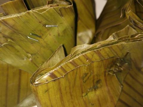 Barongko pisang kepok