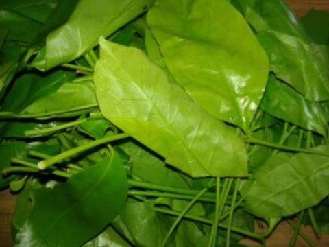 Lodeh daun so recipe step 1 photo