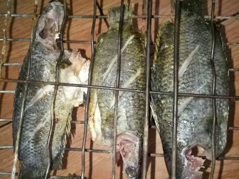 Papuyu Baubar Cacapan Mangga