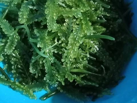 Lawa timun rumput laut with udang recipe step 2 photo