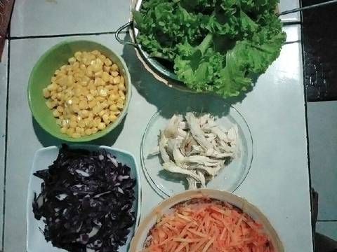 Vegetables and Chicken Salad Simple
