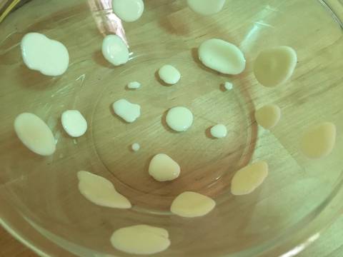 Pudding Susu