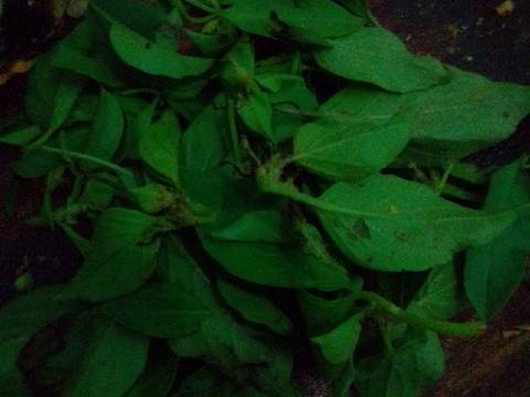 Pare isi oncom recipe step 3 photo