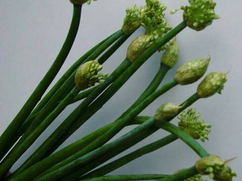 Resep Tumis  Bunga Bawang  Merah  sayur putut oleh Ukhe 