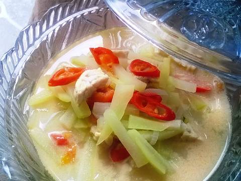  Resep Sayur Santan Labu Siam Tempe Lodeh putih Simple 