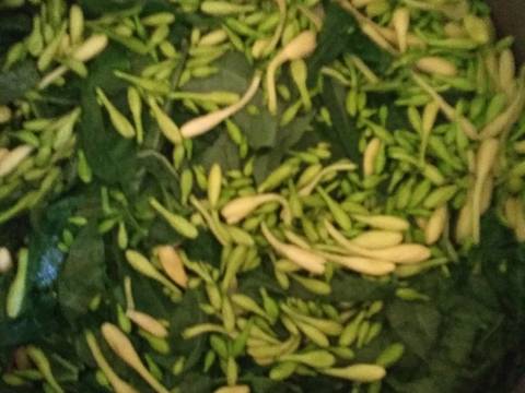 Sayur tumis bunga pepaya daun singkong teri  (no pahit) Ã°Å¸Ëœâ€¹ recipe step 2 photo