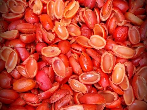 Tumis Kulit Melinjo Teri recipe step 1 photo