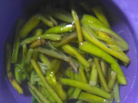Sayur Lompong dengan Keong/Tutut recipe step 2 photo