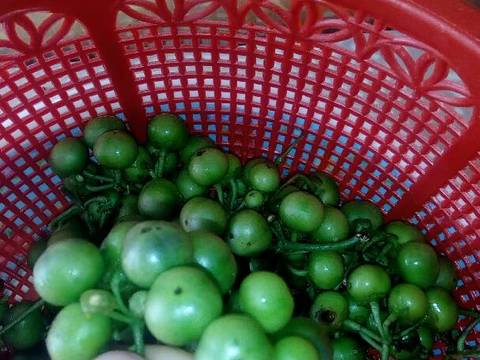 Sambal Leunca pedas banget recipe step 5 photo