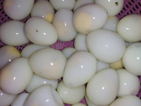 Gulai belacan puyuh cempokak