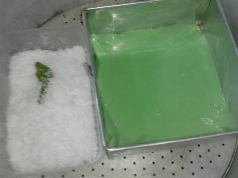 Ongol-Ongol Pandan recipe step 2 photo