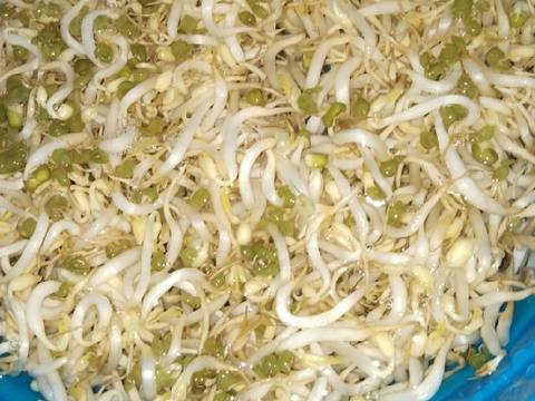 Lumpia Basah Toge recipe step 1 photo