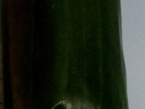 Lontong isi ayam recipe step 6 photo