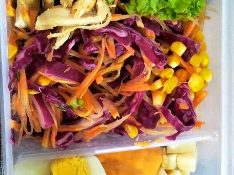Vegetables and Chicken Salad Simple