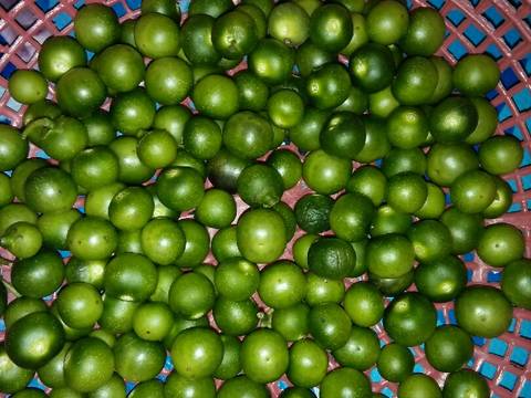 Oseng Oncom Leunca Pedas recipe step 2 photo