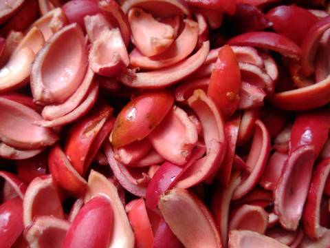 Tumis kulit melinjo campur taoge recipe step 1 photo