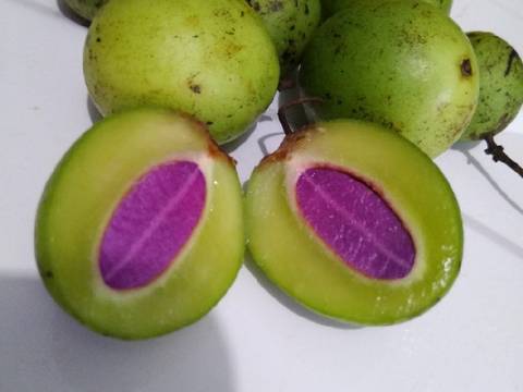 Sambal asam gandaria recipe step 1 photo