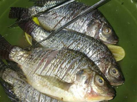 Ikan nila goreng + lalapan (saya biasa nyebut lalapan itu nyampah) ðŸ˜Š recipe step 1 photo