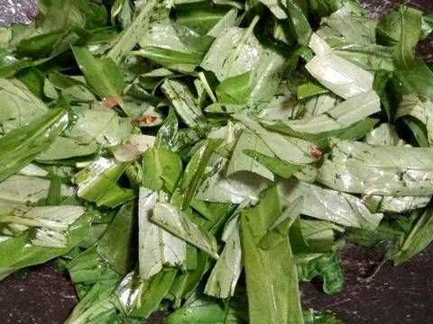 Tumis kangkung cepat dan seger, murah lagi