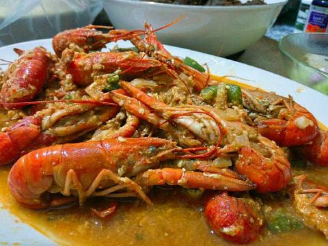 Resep Baby Lobster Udang Lobster Saus Padang oleh Rosa 