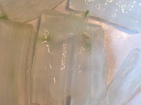 Es Lidah Buaya Chia Seed recipe step 1 photo