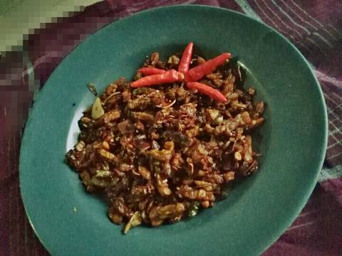 Tempe orek kering