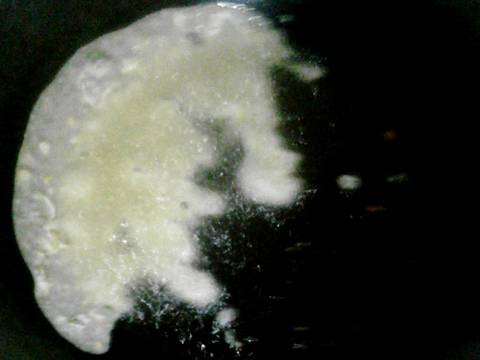 Rempeyek Ebi/Grago recipe step 6 photo