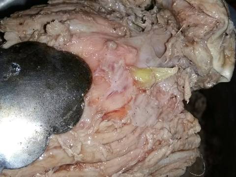 Krengsengan Daging Bumbu Ulek recipe step 6 photo