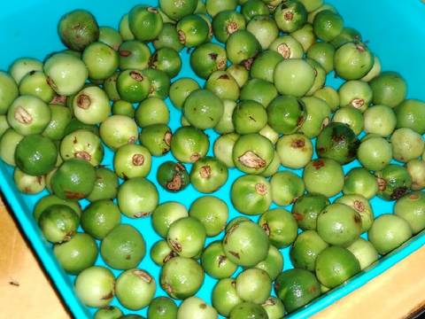 Oseng kuah cepokak dan teri recipe step 2 photo