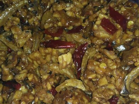 Kering Tempe Ikan Teri