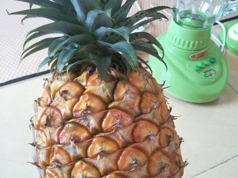 Selai NANAS (2 bahan)
