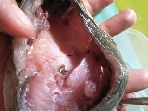 Peda isi sayur recipe step 2 photo