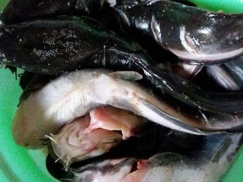 Ikan Lele Bakar Lalapan Sederhana recipe step 1 photo