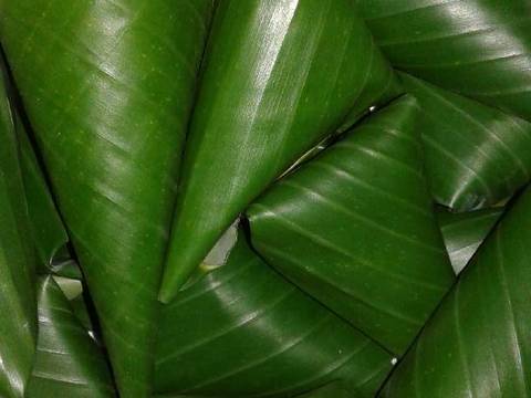 Lepet Khas Medan (Ombus Ombus) recipe step 7 photo