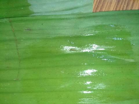 Kue koci pandan recipe step 1 photo