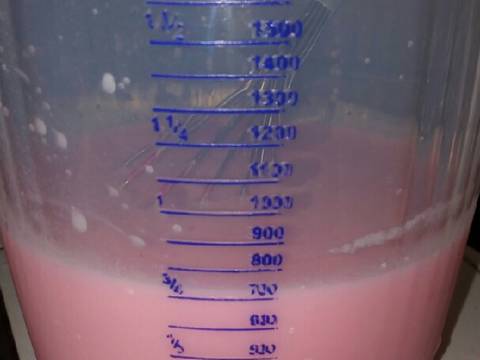 Agar agar lapis santan