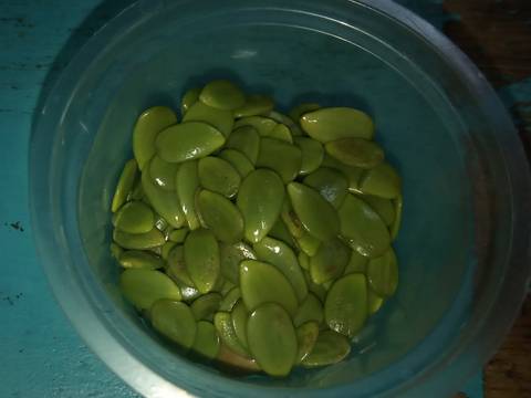 Botok mangga muda. recipe step 5 photo
