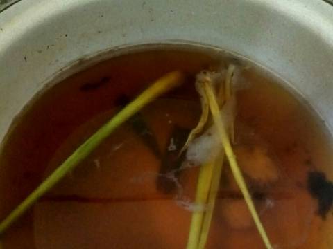 Nustar (nusa utara) herbal ☕