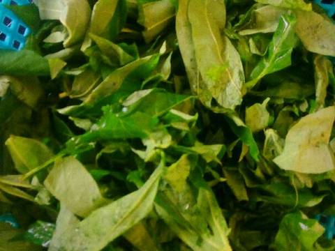 Gudeg daun singkong recipe step 1 photo