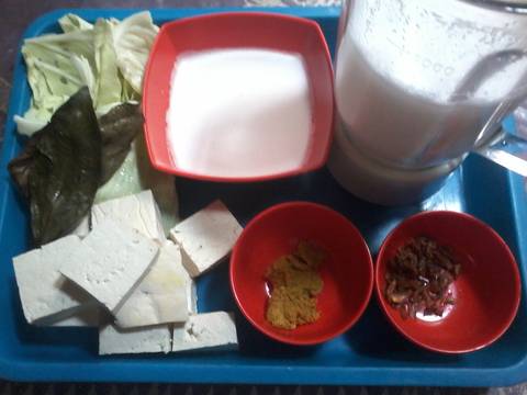 Terik Tahu & Kol recipe step 1 photo