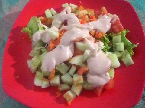  Resep  Salad  Sayur  Mudah dan  Enak dengan saus  mayonaise  