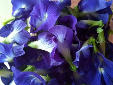 79. Cenil Bunga Telang recipe step 1 photo