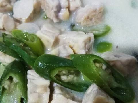 Sayur Lodeh Tempe enak mudah banget recipe step 4 photo